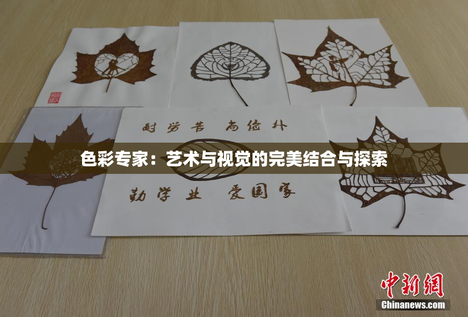 色彩专家：艺术与视觉的完美结合与探索