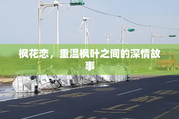 枫花恋，重温枫叶之间的深情故事