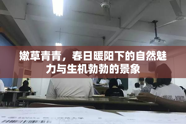 嫩草青青，春日暖阳下的自然魅力与生机勃勃的景象