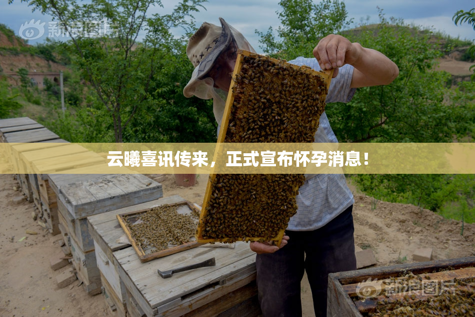 云曦喜讯传来，正式宣布怀孕消息！