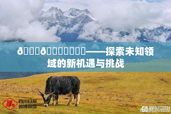 🍆🍑❌‌❌‌——探索未知领域的新机遇与挑战