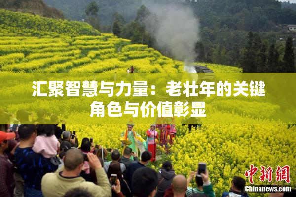 汇聚智慧与力量：老壮年的关键角色与价值彰显