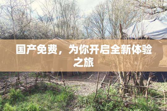 国产免费，为你开启全新体验之旅