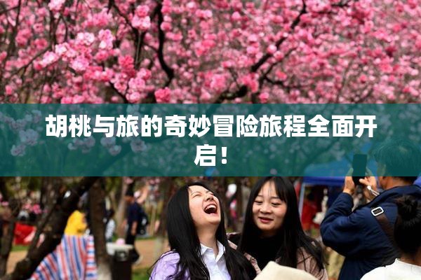 胡桃与旅的奇妙冒险旅程全面开启！