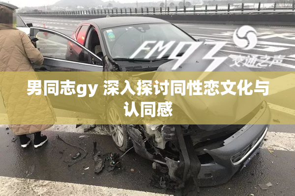 男同志gy 深入探讨同性恋文化与认同感