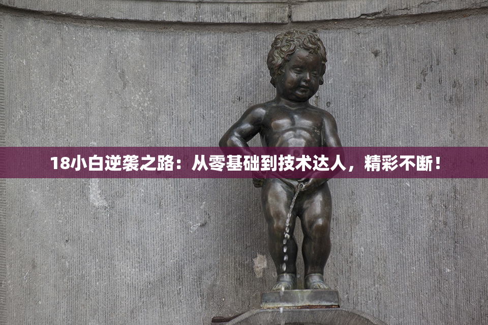 18小白逆袭之路：从零基础到技术达人，精彩不断！