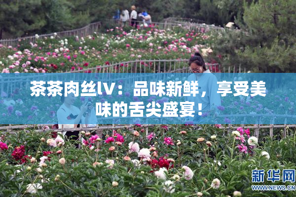 茶茶肉丝lV：品味新鲜，享受美味的舌尖盛宴！