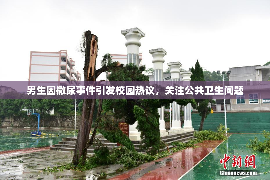 男生因撒尿事件引发校园热议，关注公共卫生问题