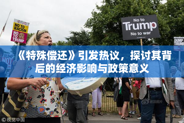 《特殊偿还》引发热议，探讨其背后的经济影响与政策意义