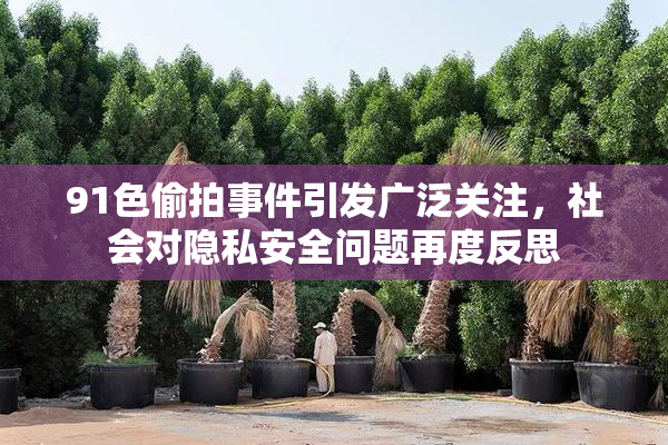 91色偷拍事件引发广泛关注，社会对隐私安全问题再度反思