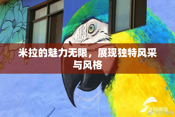 米拉的魅力无限，展现独特风采与风格