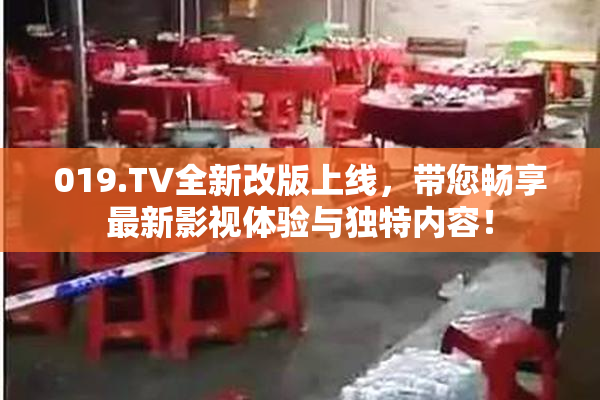 019.TV全新改版上线，带您畅享最新影视体验与独特内容！