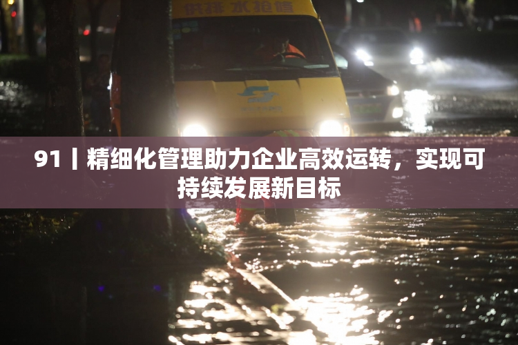91丨精细化管理助力企业高效运转，实现可持续发展新目标