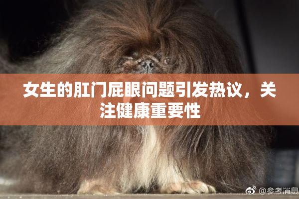 女生的肛门屁眼问题引发热议，关注健康重要性