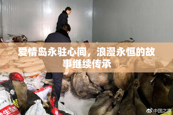 爱情岛永驻心间，浪漫永恒的故事继续传承