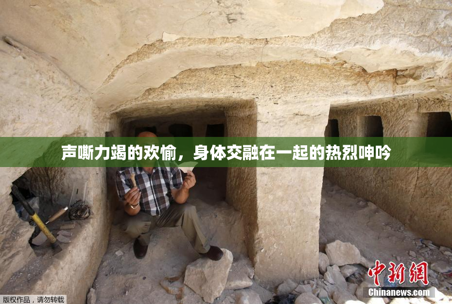 声嘶力竭的欢愉，身体交融在一起的热烈呻吟