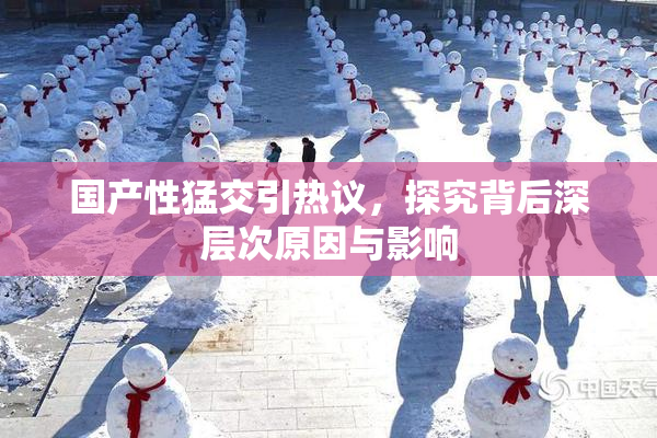 国产性猛交引热议，探究背后深层次原因与影响