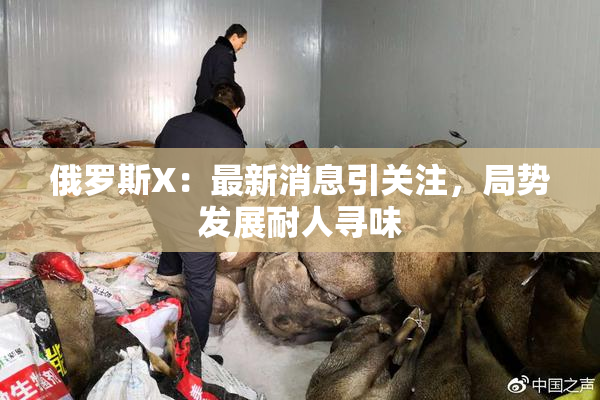 俄罗斯X：最新消息引关注，局势发展耐人寻味