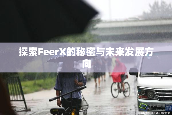 探索FeerX的秘密与未来发展方向