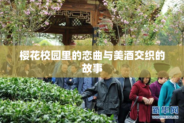 樱花校园里的恋曲与美酒交织的故事