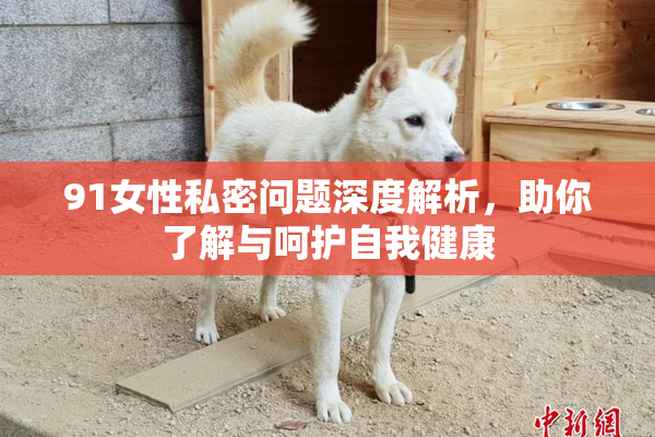 91女性私密问题深度解析，助你了解与呵护自我健康