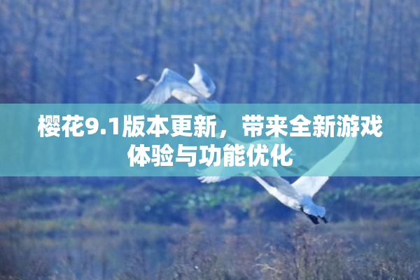 樱花9.1版本更新，带来全新游戏体验与功能优化