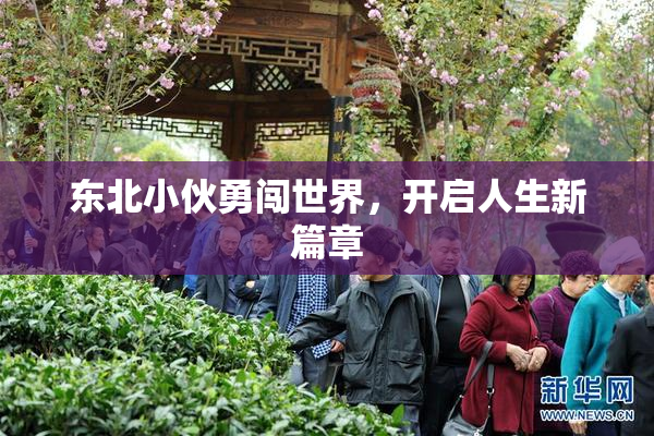 东北小伙勇闯世界，开启人生新篇章
