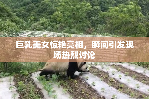 巨乳美女惊艳亮相，瞬间引发现场热烈讨论