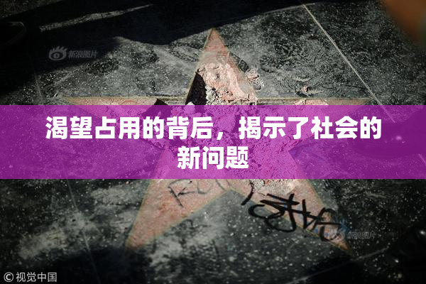渴望占用的背后，揭示了社会的新问题