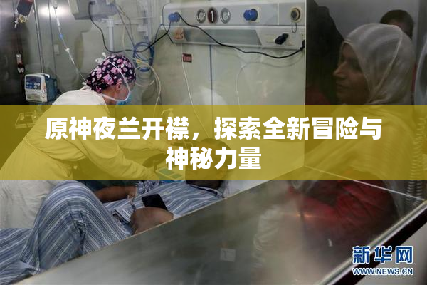 原神夜兰开襟，探索全新冒险与神秘力量