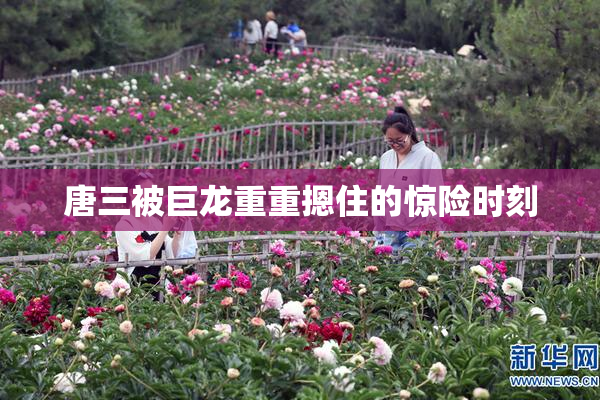 唐三被巨龙重重摁住的惊险时刻