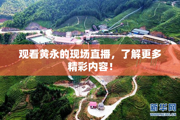 观看黄永的现场直播，了解更多精彩内容！