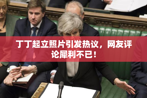 丁丁起立照片引发热议，网友评论犀利不已！