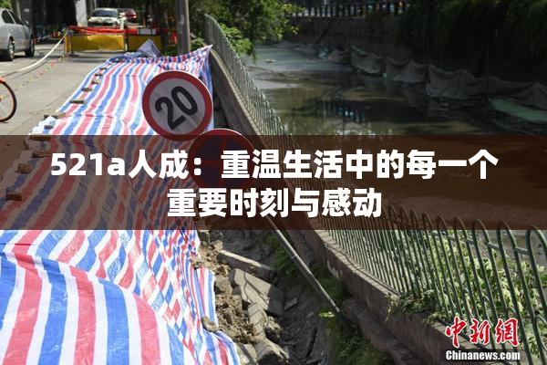 521a人成：重温生活中的每一个重要时刻与感动