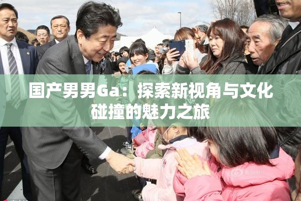 国产男男Ga：探索新视角与文化碰撞的魅力之旅