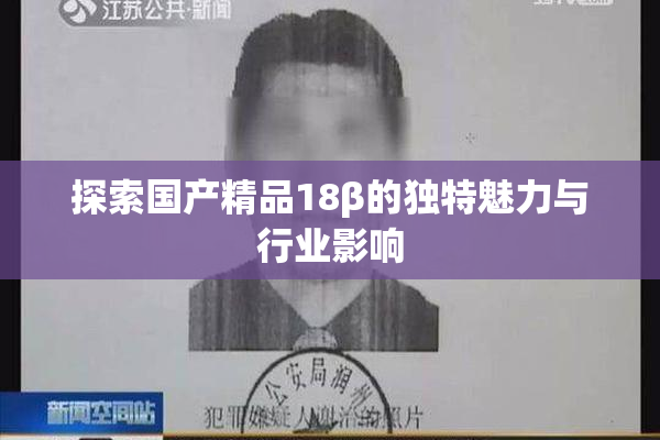 探索国产精品18β的独特魅力与行业影响