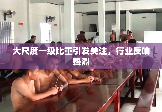 大尺度一级比重引发关注，行业反响热烈