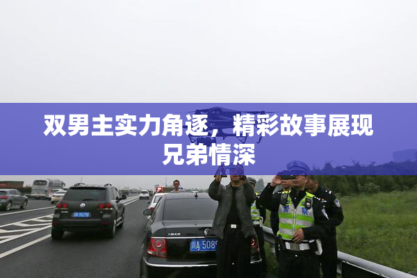 双男主实力角逐，精彩故事展现兄弟情深