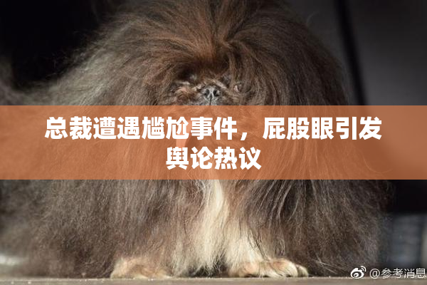 总裁遭遇尴尬事件，屁股眼引发舆论热议