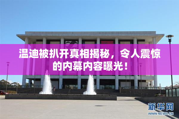 温迪被扒开真相揭秘，令人震惊的内幕内容曝光！
