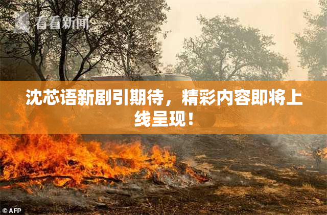 沈芯语新剧引期待，精彩内容即将上线呈现！