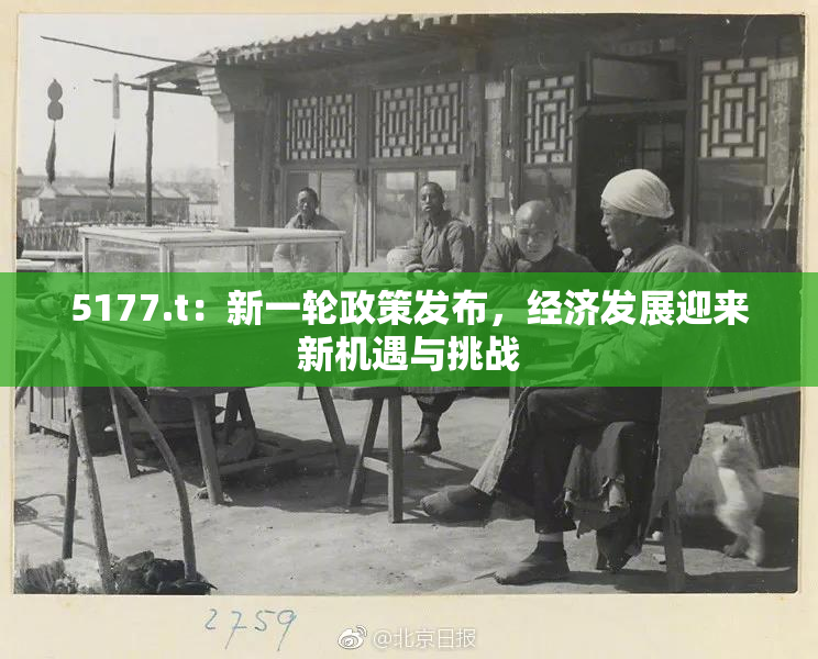 5177.t：新一轮政策发布，经济发展迎来新机遇与挑战