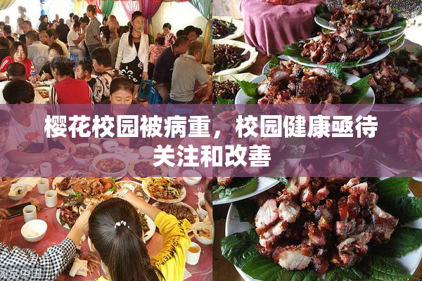 樱花校园被病重，校园健康亟待关注和改善