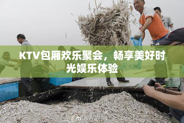 KTV包厢欢乐聚会，畅享美好时光娱乐体验
