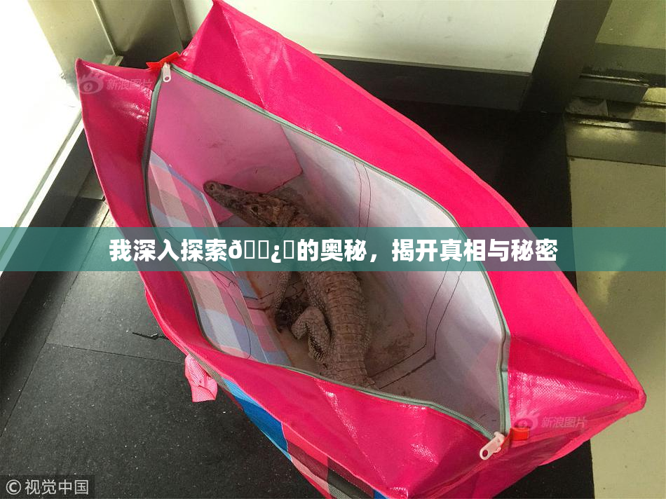我深入探索🌿‌的奥秘，揭开真相与秘密