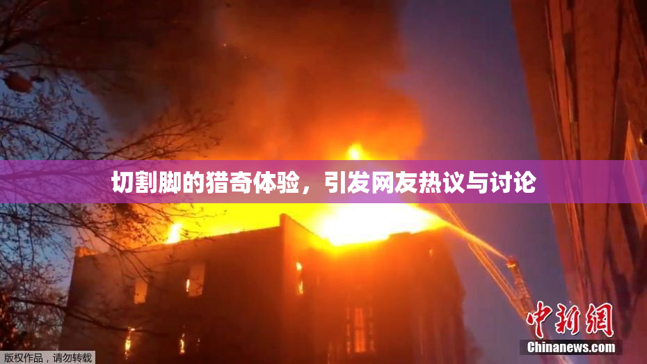 切割脚的猎奇体验，引发网友热议与讨论
