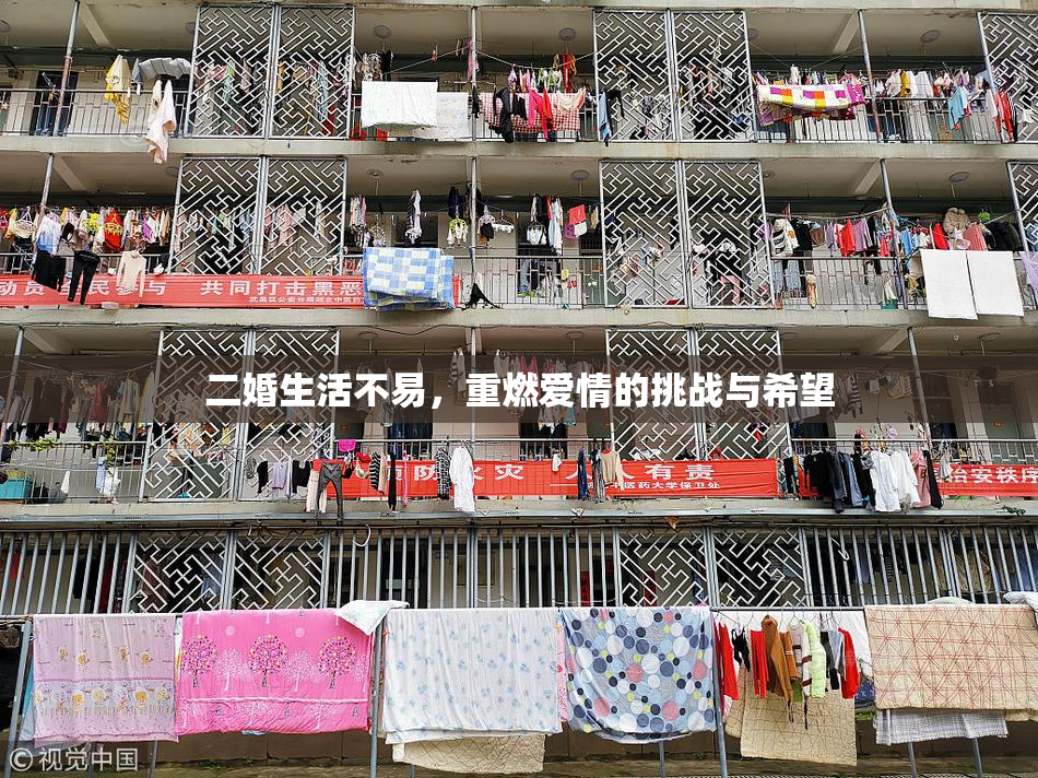 二婚生活不易，重燃爱情的挑战与希望