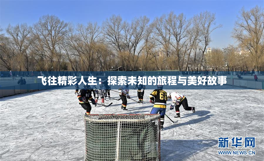 飞往精彩人生：探索未知的旅程与美好故事