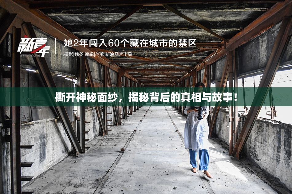 撕开神秘面纱，揭秘背后的真相与故事！