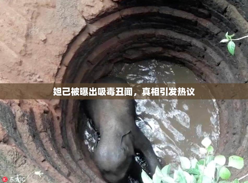 妲己被曝出吸毒丑闻，真相引发热议